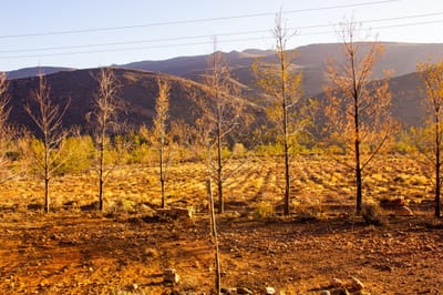 Grenfell here we come Friday 14th August