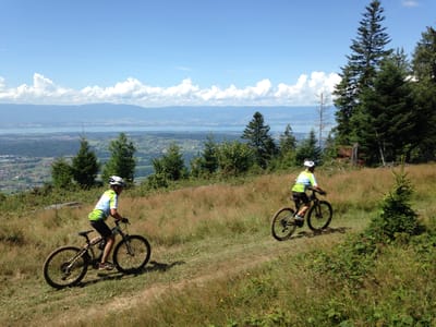 Vallée verte bike tour Clearance