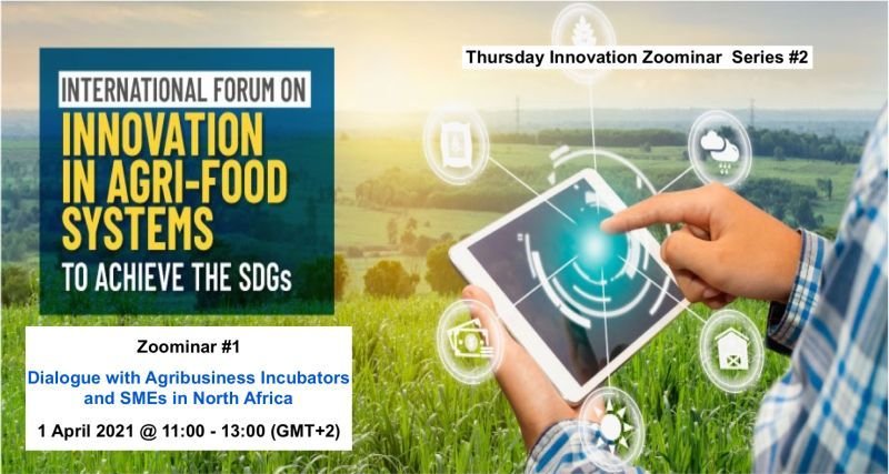 PAEPARD - FARA: WEBINAR: Dialogue with Agribusiness Incubators and SMEs in  North Africa