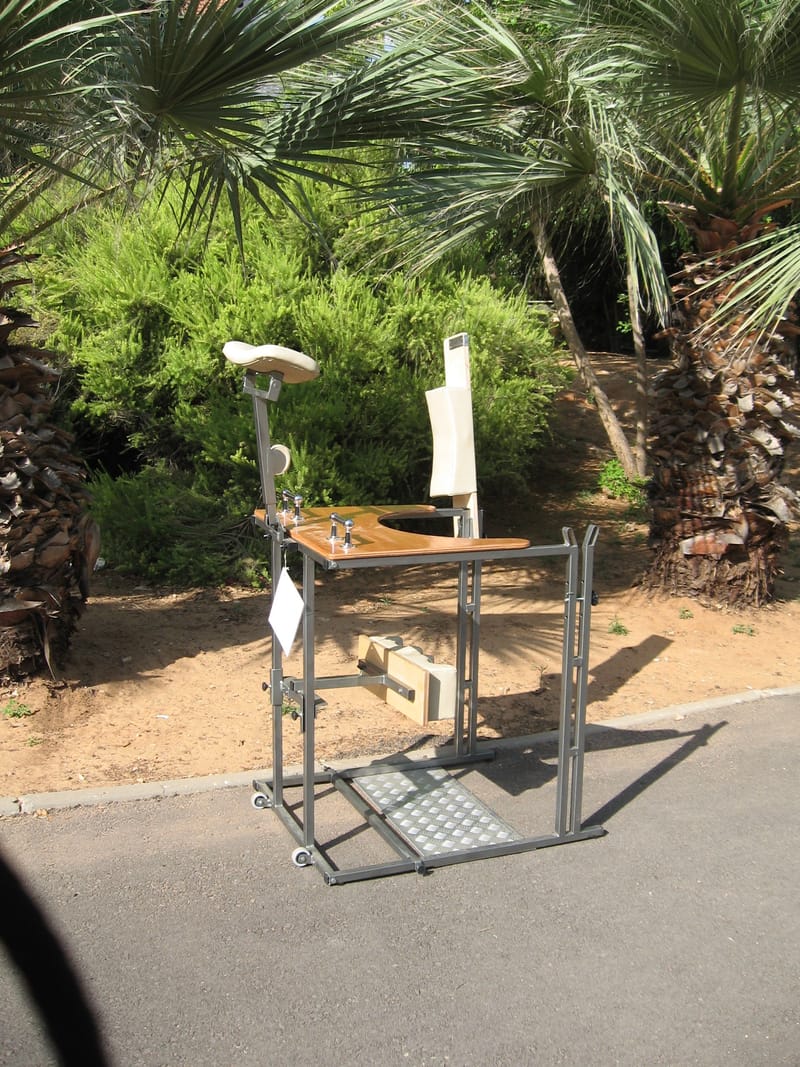 השכרת עמידון