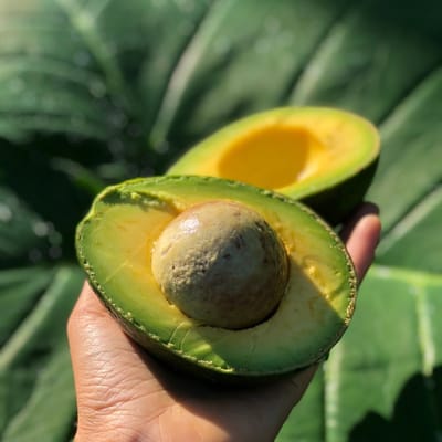 Avocado is more than a super food