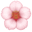🌸