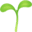 🌱