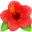 🌺