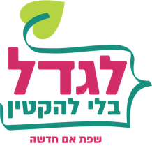 מה כוללת השיטה - פירוט