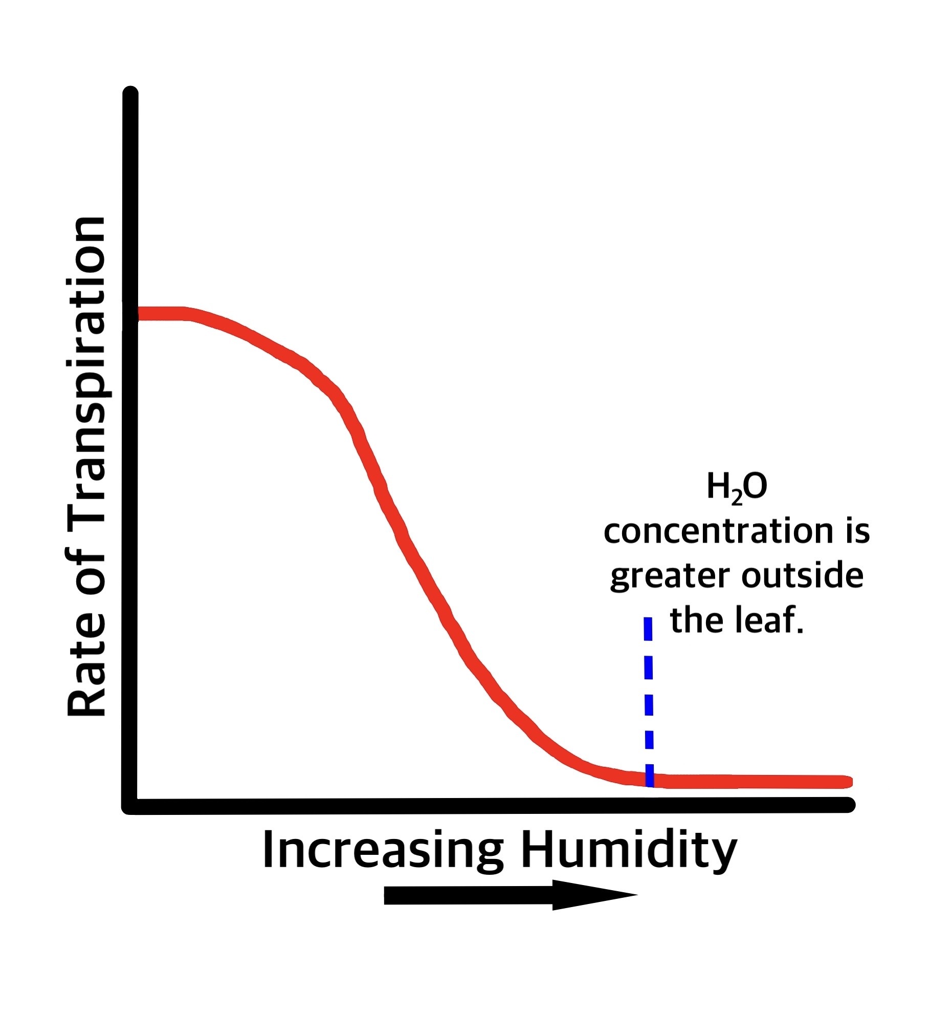 increasing-humidity-for-plants