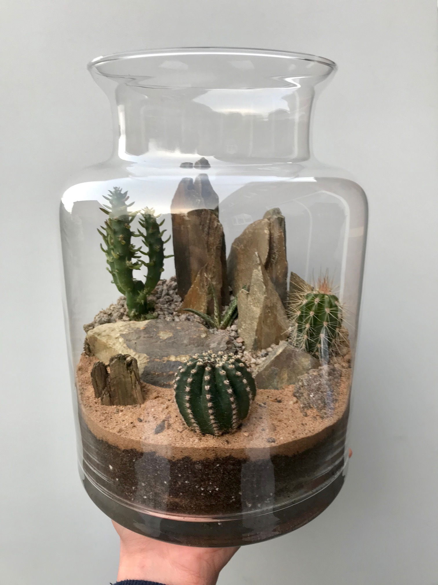 A Gallery Of Terrarium Photos For Inspiration!