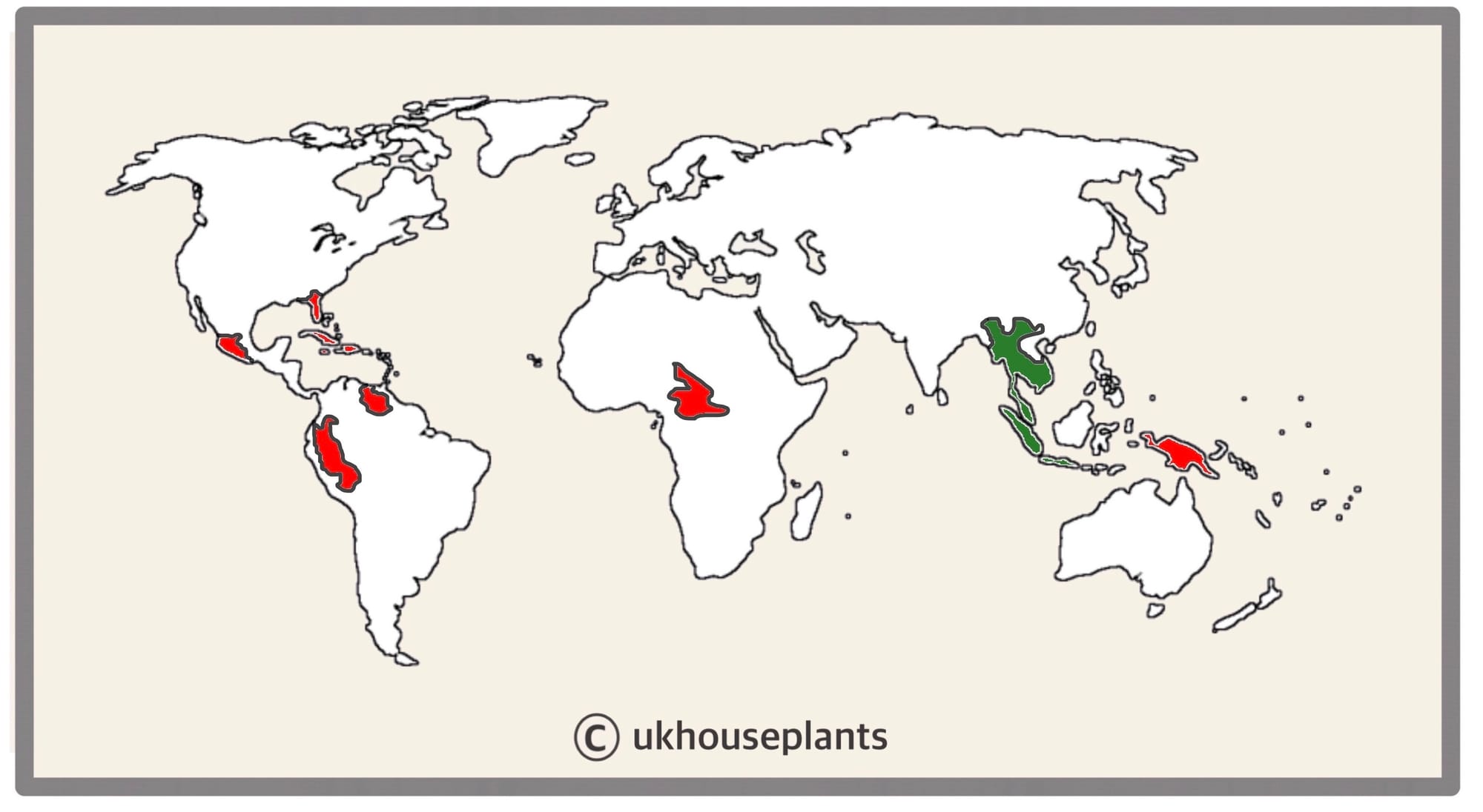 How We Grow Happy Rubber Trees!