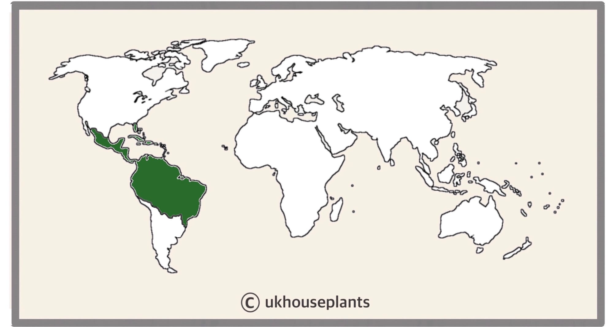 brassière the north face