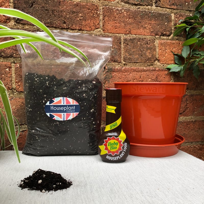 Indoor Palm Potting Mix