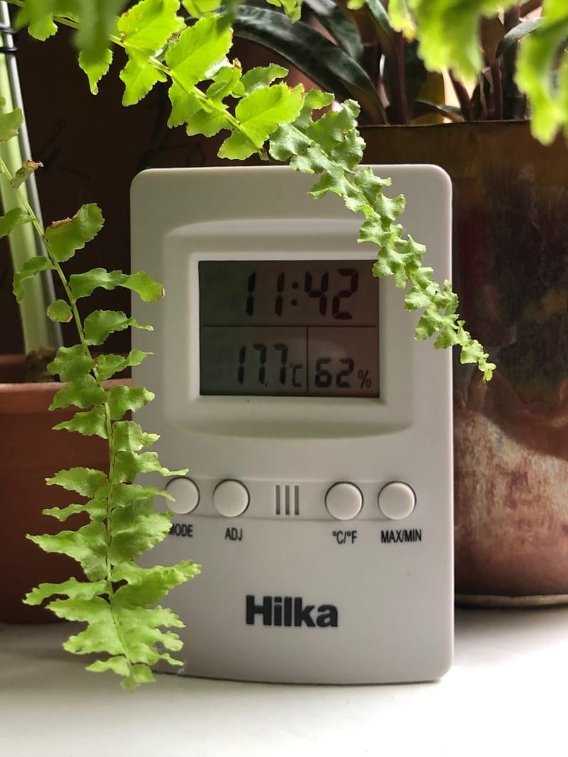 Increasing Humidity for Plants