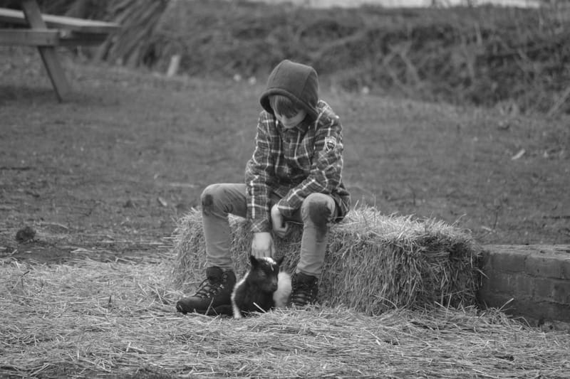 Civil case mediation examples image