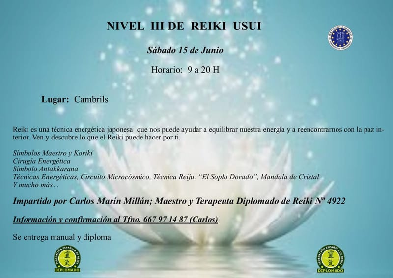 Nivel Iii Reiki Usui Luminum