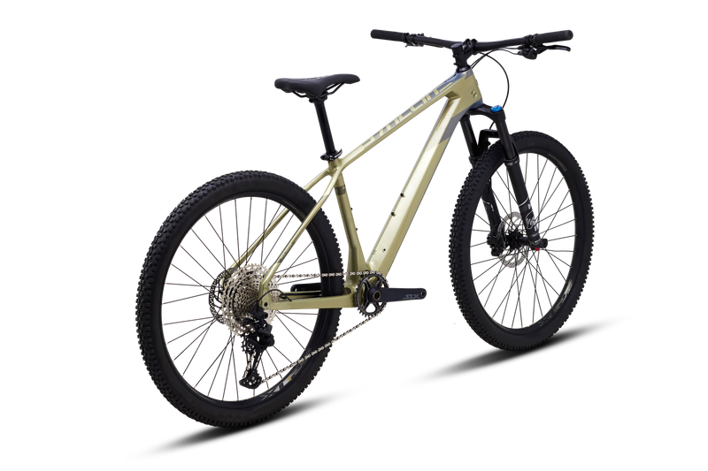 polygon xtrada 8 2021