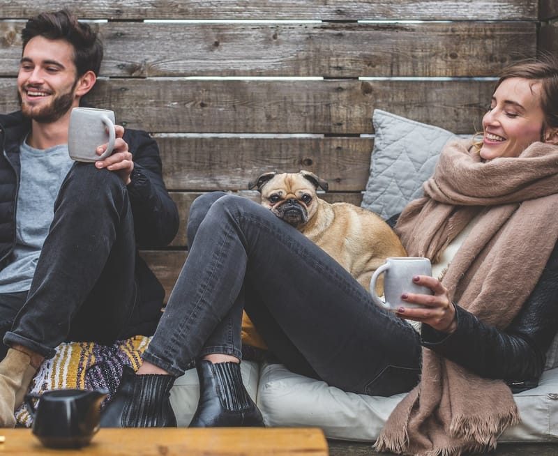 סדנת יוגה צחוק עם בעלי החיים