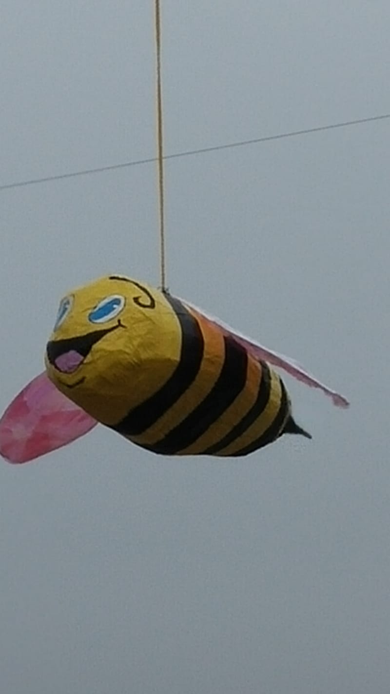 Honey Bee Jubilee Mile Hive Bee Club