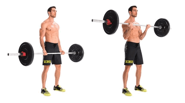 Barbell biceps curl Barbell biceps curl