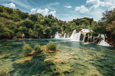 השם שמור במערכת