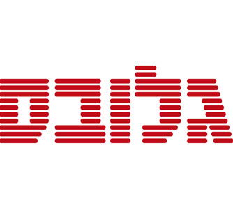 כתבה מקצועית