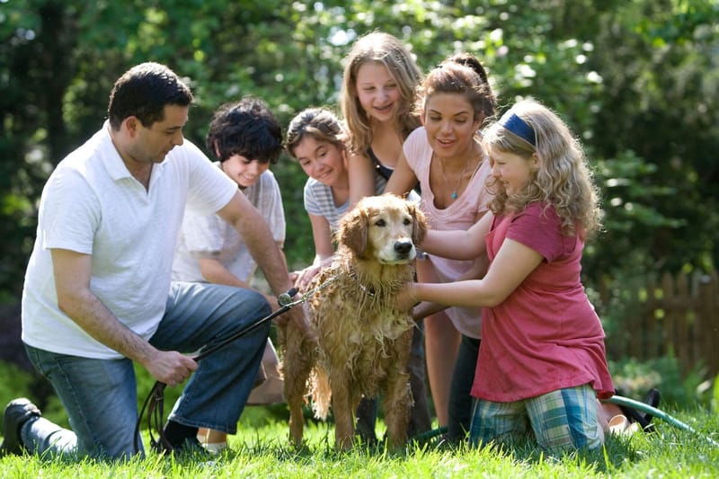 Parents and families