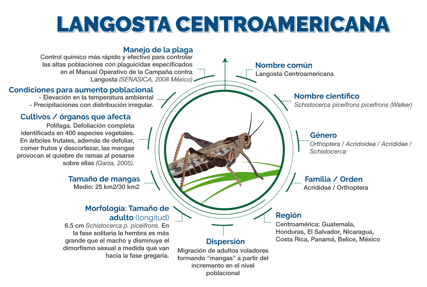 Prevención Y Control De La Langosta Centroamericana “Schistocerca ...