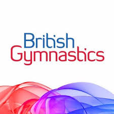 Image result for british gymnastics logs