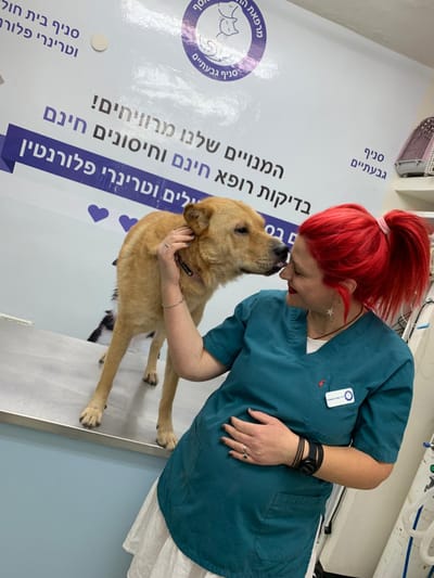 סניף גבעתיים