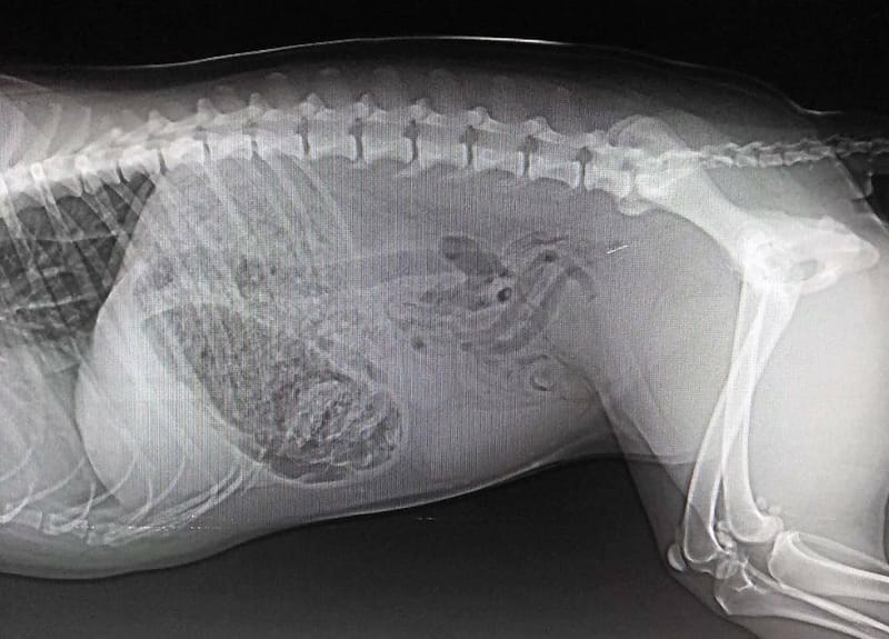 צילומי רנטגן