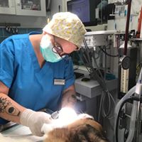 ניקוי שיניים וטיפולי שיניים