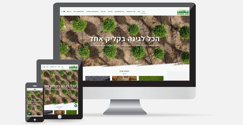 החצר האחורית