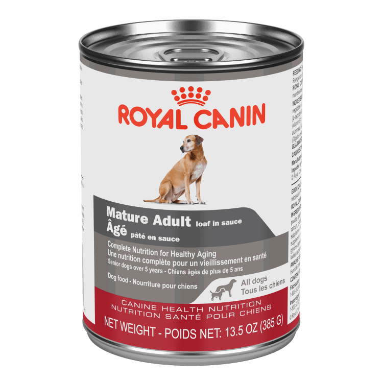 Royal Canin Nourriture humide chien âgé pâté en sauce 385g