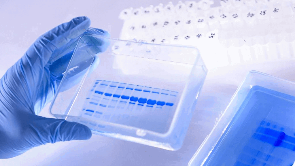 Cdc covid guidelines 2021 picture