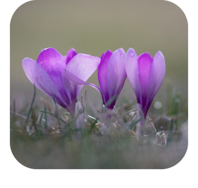 למה הטיפול בהטרדות מיניות לא עובד?