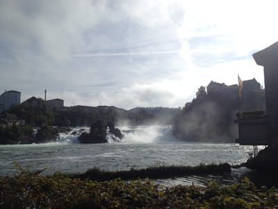 גרמניה - מסלול לאורך הריין והיער השחור