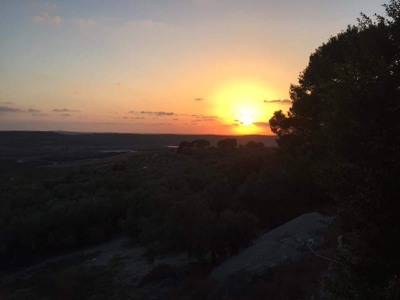 טיול בגליל - ליער ביריה